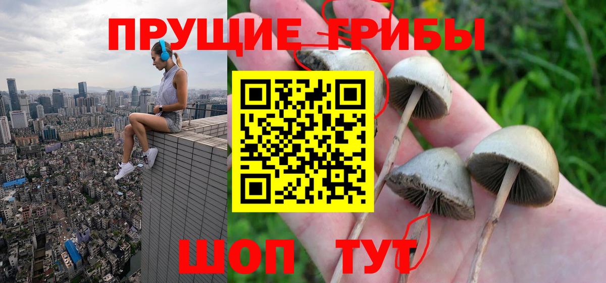 Псилоцибиновые грибы Cubensis  где продают   Вход с VPN  Феодосия  Галлюциногенные грибы мухоморы 
